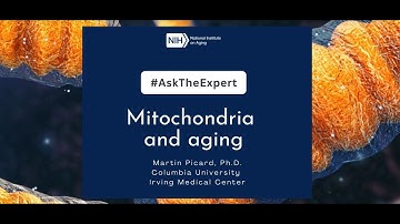 Ask the Expert: Mitochondria and Aging