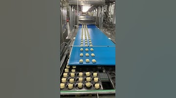 Automatic bread panning system machine #automatic tray arrangement machine #tray alignment machine