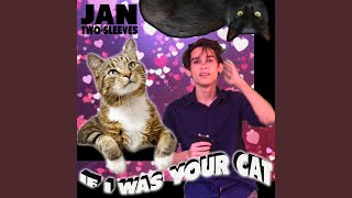 Video thumbnail of "Jan Two-Sleeves - If I Was Your Cat"