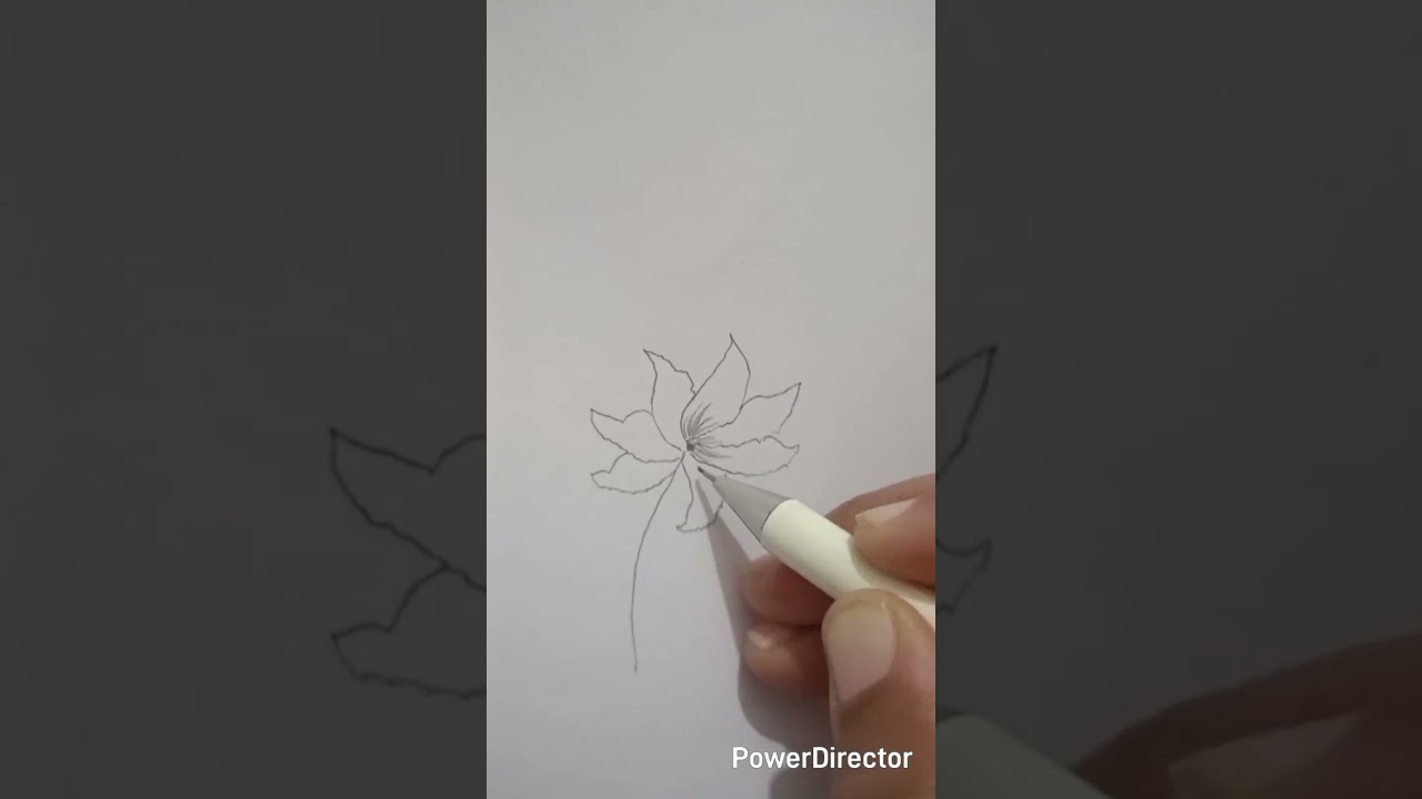 how to make beautiful very simple flowers drawing 