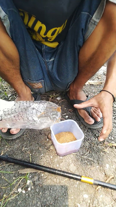 Umpan Pelet Bapake Untuk Mancing Ikan  Bader🐟