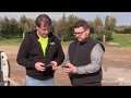 Prototype technology for fruit quality management with grower