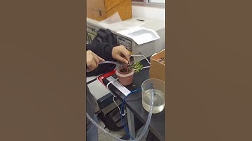 sistema de riego:Arduino