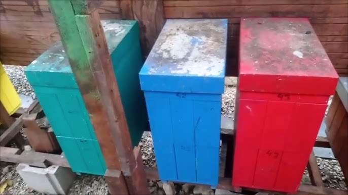 Podzimni Fumigace () Podzimni Fumigace