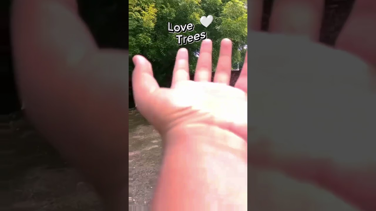 Wait for Plz trees loves 💚🌲🤍#editing, #photoediting, #videoediting,  #picsart_background_editing