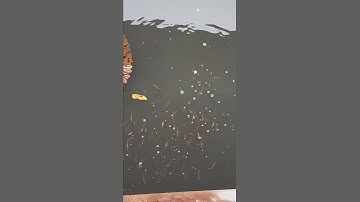 Bầy ròng ròng #NRLures #caucagiaitri #caucaloc