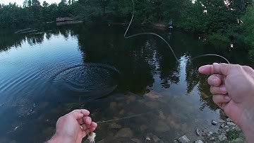 Bass fly fishing with a 50-60 year old O.C. Tuttle Devil Bug mouse fly and Fin Nor #2 reel