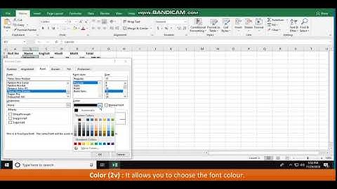 MS Excel Formatting, Formulas and Functions 1