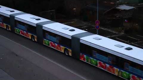 World longest bus!