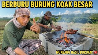 Download Lagu BERBURU BURUNG KOAK BESAR‼️HASIL BURUAN LANGSUNG KITA PANGGANG🔥JOSGANDOS MAKKYUSSS😋✅ MP3