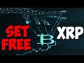 Ripple XRP MANIPULATION OFFICIALLY STOPS TODAY LETS GO!!!