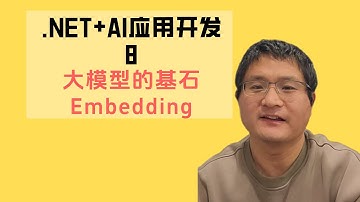 NET+AI应用开发8 大语言模型的基石Embedding