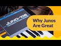 Why Roland Junos Are Great &amp; How To Get Their Sound at Any Budget