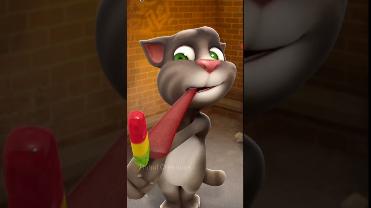 My Talking😿 Tom 😾Friends😺 | 