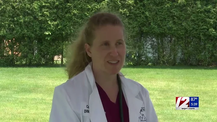 Bristol County Veterinary Hospital News Feature