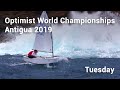 Optimist World Championships, Antigua 2019. Windy Tuesday!