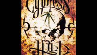 Watch Cypress Hill The Last Assassin video