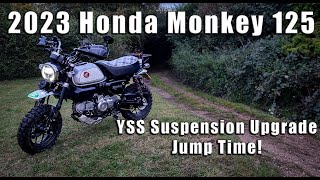 LET'S JUMP THE MONKEY! I 2023 Honda Monkey YSS Suspension Upgrade!