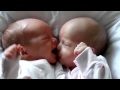 Baby girl tries to feed on twin sisters nose