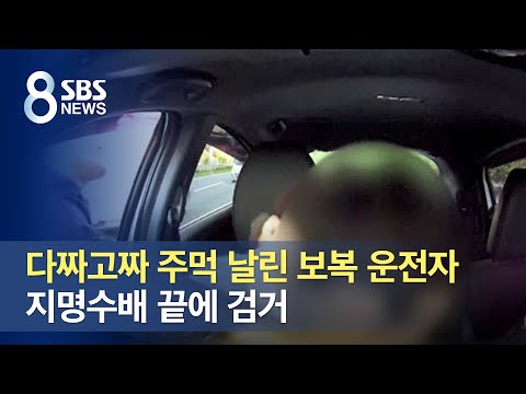 다짜고짜 주먹 날린 보복 운전자 지명수배 끝에 검거 SBS 