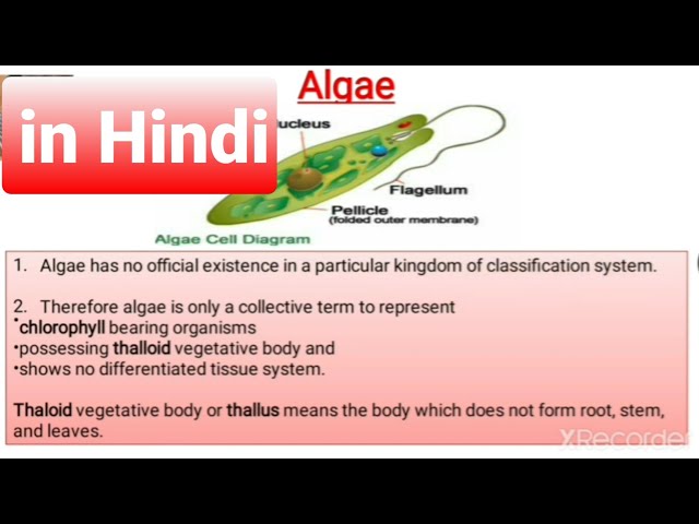 Algae General Characters And Classification Reproduction In