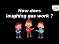 How does laughing gas work? | One Minute Bites | Don't Memorise