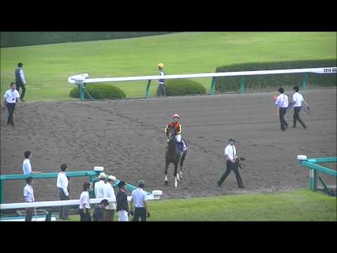 2014 6/29 第55回 宝塚記念(ＧＩ) 本馬場入場 現地映像 ゴールドシップ