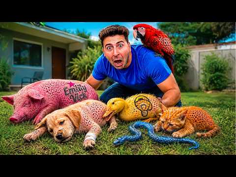 I FOUND THE YOUTUBERS' PETS ABANDONED! *THEY ARE NOT DOING WELL*