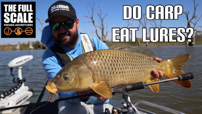 BIG CARP fishing, Tips and techniques