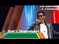 Babs shameleon  gnoupota  les auditions  laveugle  the voice afrique francophone civ