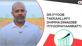 Dr.Iyyoob Takkaallinyi dhimma dinagdee Itiyoophiyaarratti.