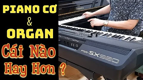 PIANO CƠ VÀ ORGAN - Sự Giống Nhau Và Khác Nhau Thú Vị | Phân Tích Cái Hay Của Mỗi Loại Đàn