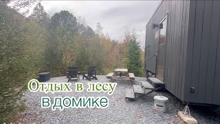 картинка: ОТДЫХ В ДОМИКЕ В ЛЕСУ. POSTCARD CABINS