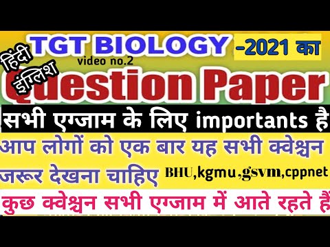 वीडियो: यह आधिकारिक है: Puphaus सुनिश्चित करता है कि आपके कुत्ते के सूअर आपके से बेहतर हैं