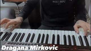 Dragana Mirkovic  Dolina kestenova ( audio1997 )