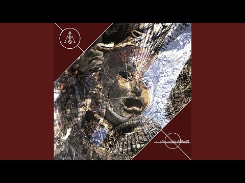 Am Not — Continental Drift II