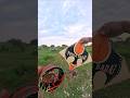 pass Joss #kite #layangan #kutefighter #pipacombate