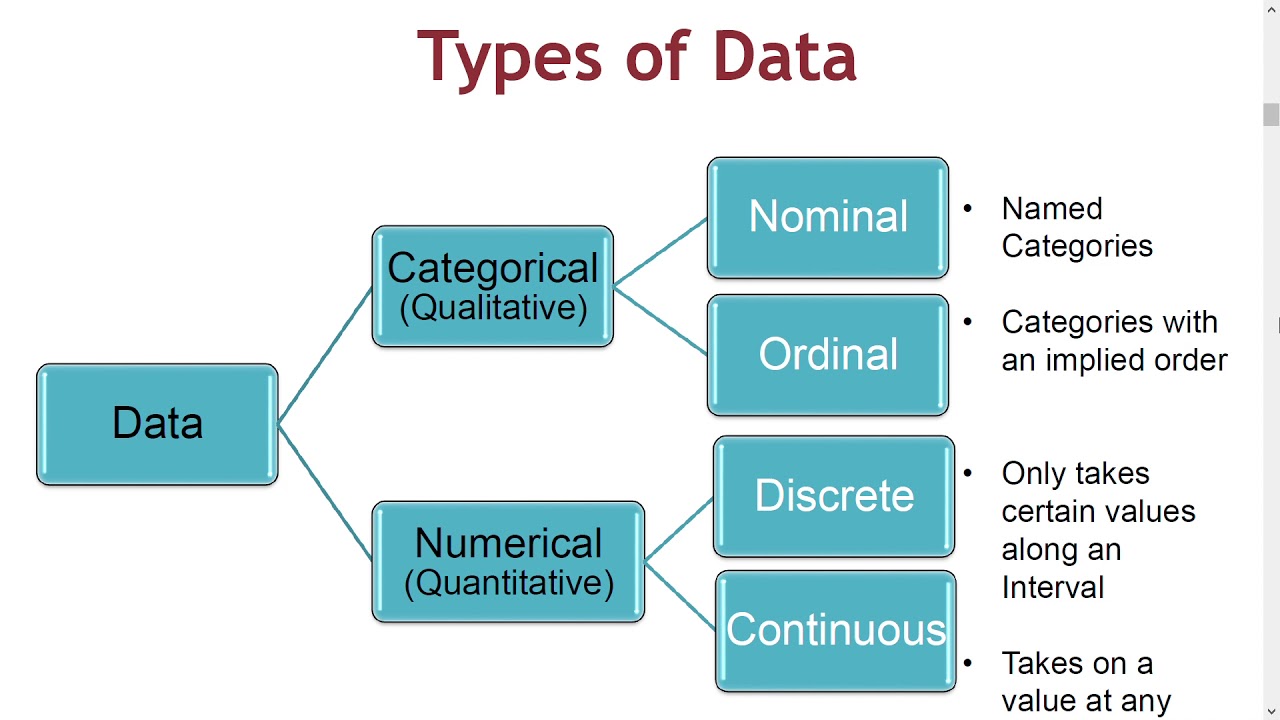 Statistics - Lecture 1 (Speech added) - YouTube