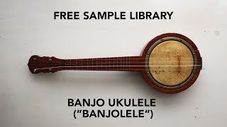 FREE SAMPLE: Banjo Ukulele (Banjolele) Sample Library [Kontakt & SFZ] @DavidHilowitzMusic