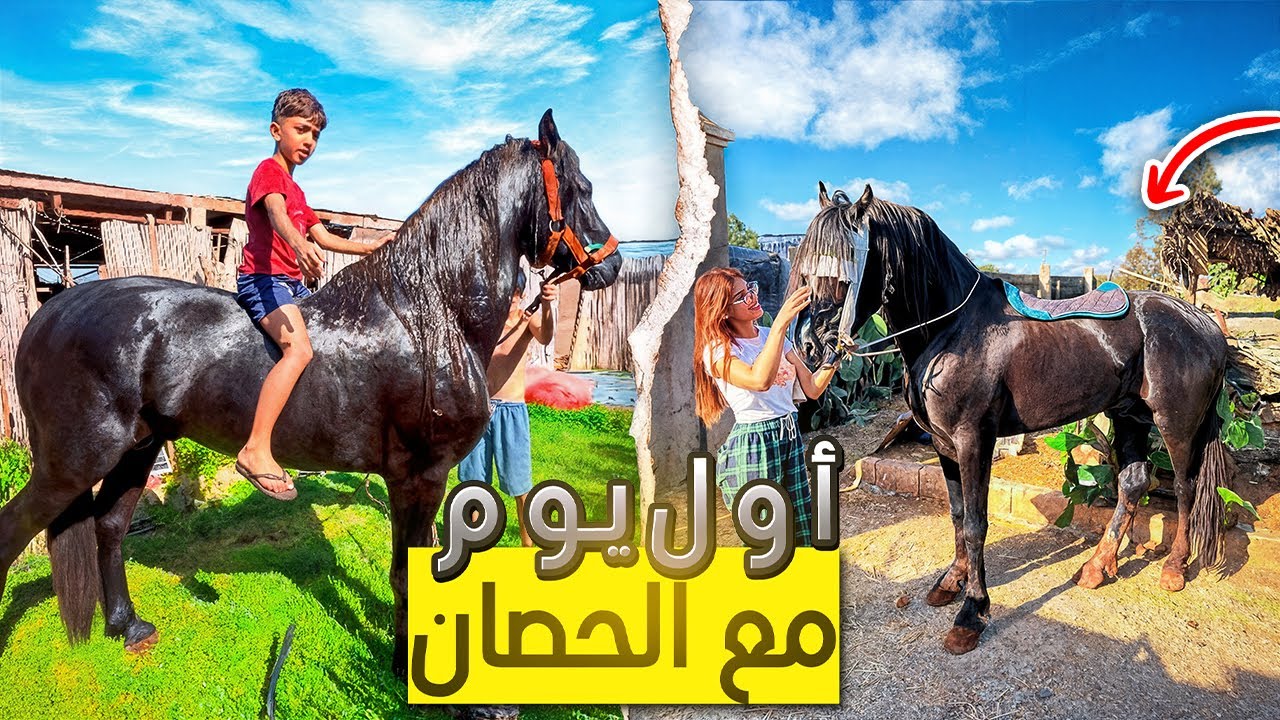 يوم جديد🌞أول تجربة لنا مع الخيول ..من الغسل إلى الركوب