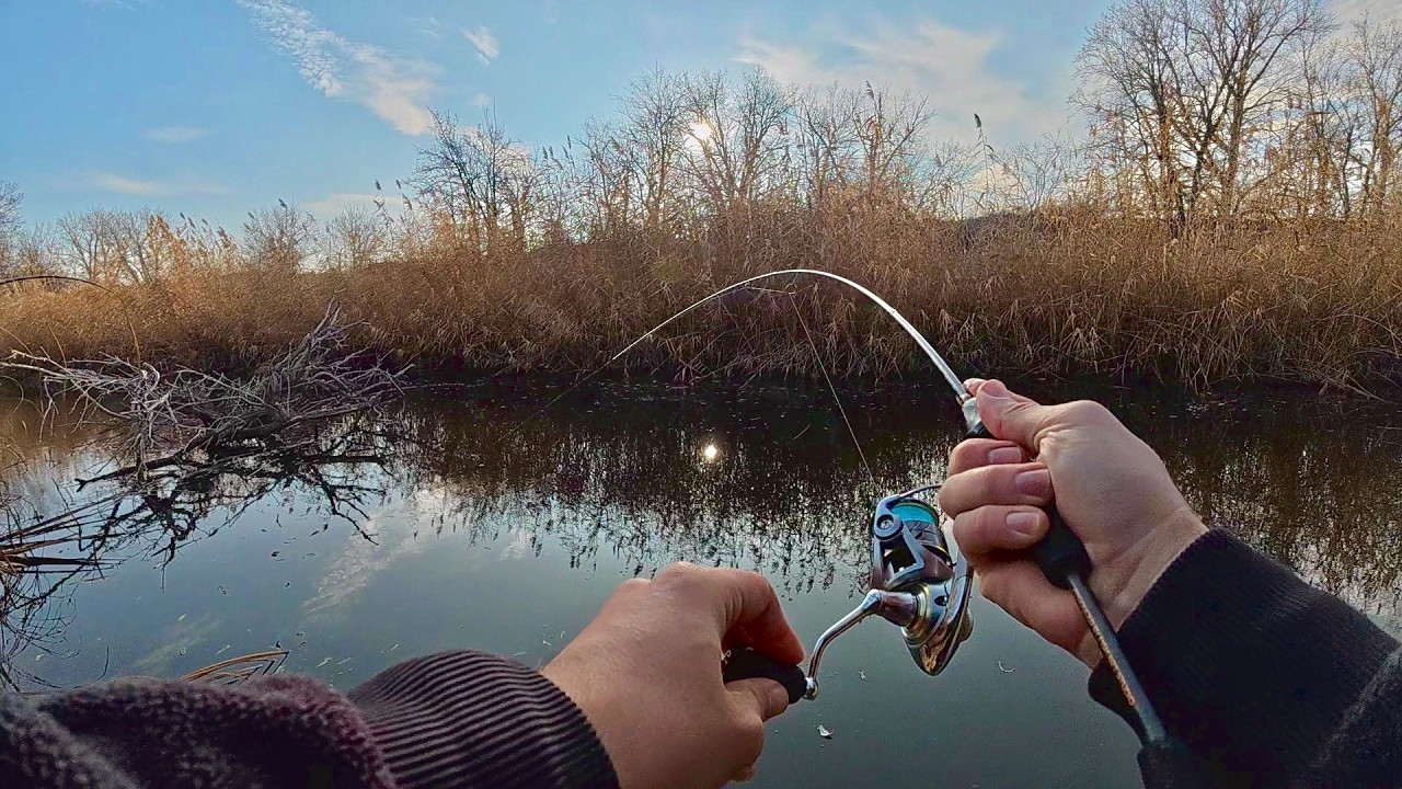 НАШЁЛ ЗАТОПЛЕННОЕ ДЕРЕВО И РЫБАЛКА УДАЛАСЬ! ОСЕННИЙ УЛЬТРАЛАЙТ НА МАЛОЙ РЕКЕ