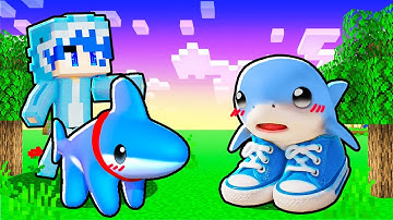 Huy Noob Chú chó Cá Mập Gặp Baby Tralalero Tralala