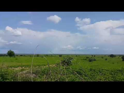 الطريق من رورو الى قلي محليه التضامن ولايه النيل الازرق