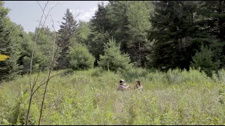 A Killer Picnic