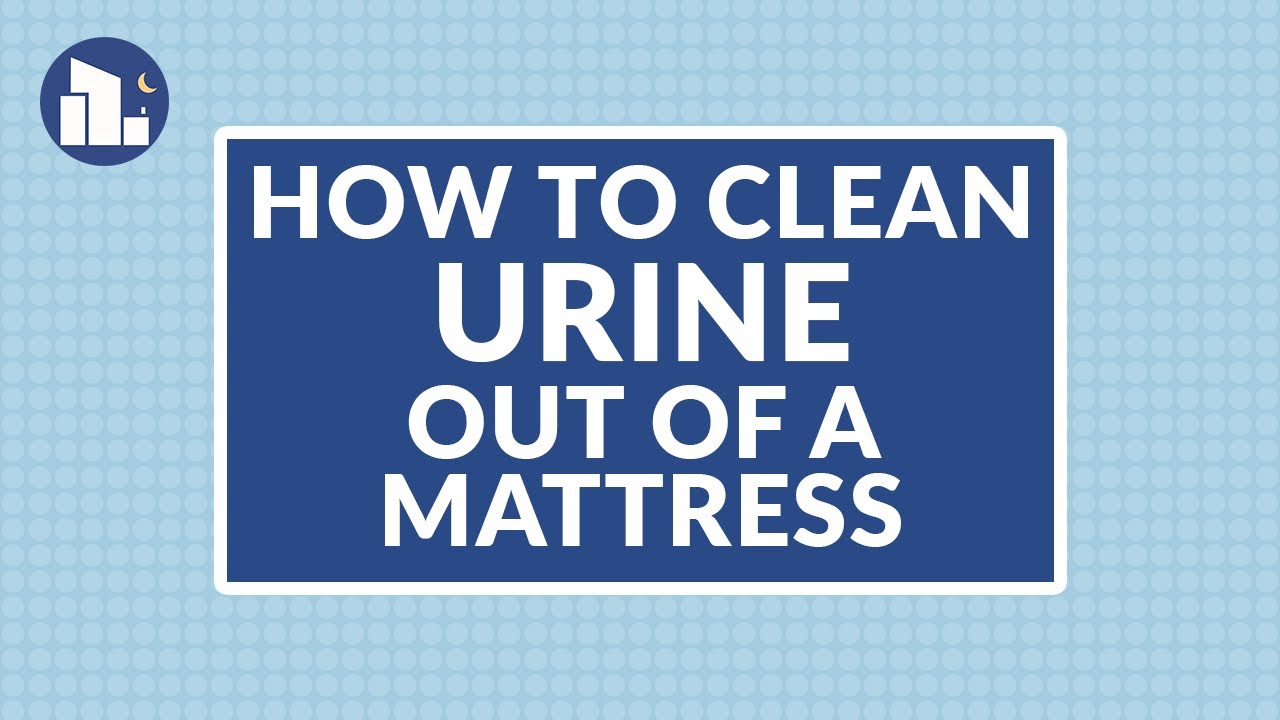 How to clean pee out of a mattress
