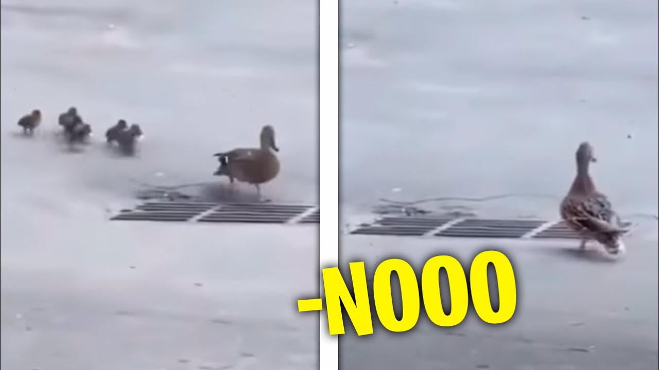nooo-no-puede-ser-youtube