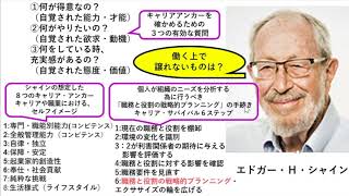 エドガーシャイン「キャリアアンカー」