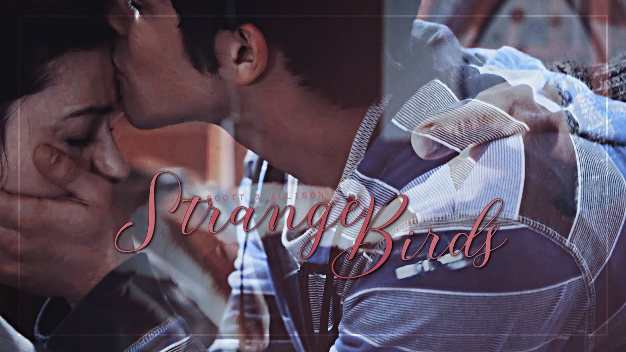 Scott ✗ Allison | Strange Birds