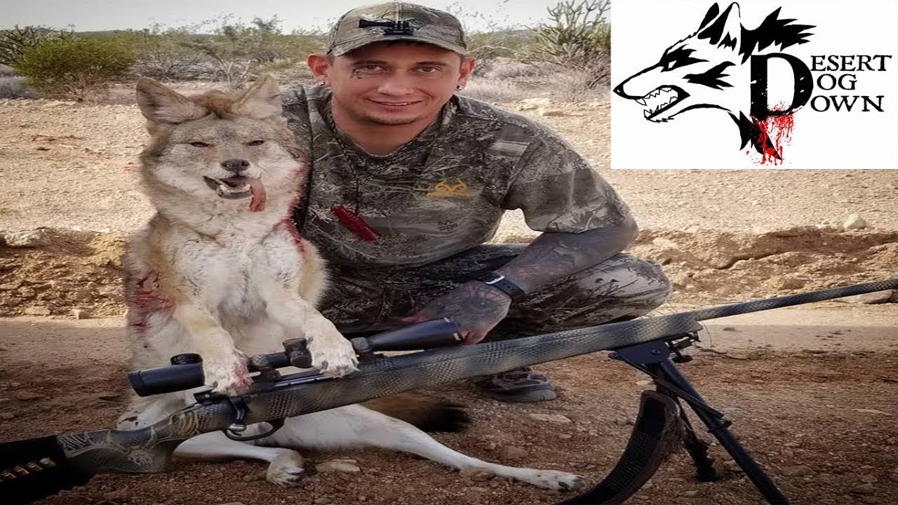 Arizona Predator Hunting ( DESERT DOG DOWN ) YouTube
