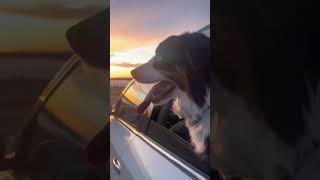 Hey Remi! Another Amazing Sunrise!